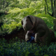 All images: Netflix